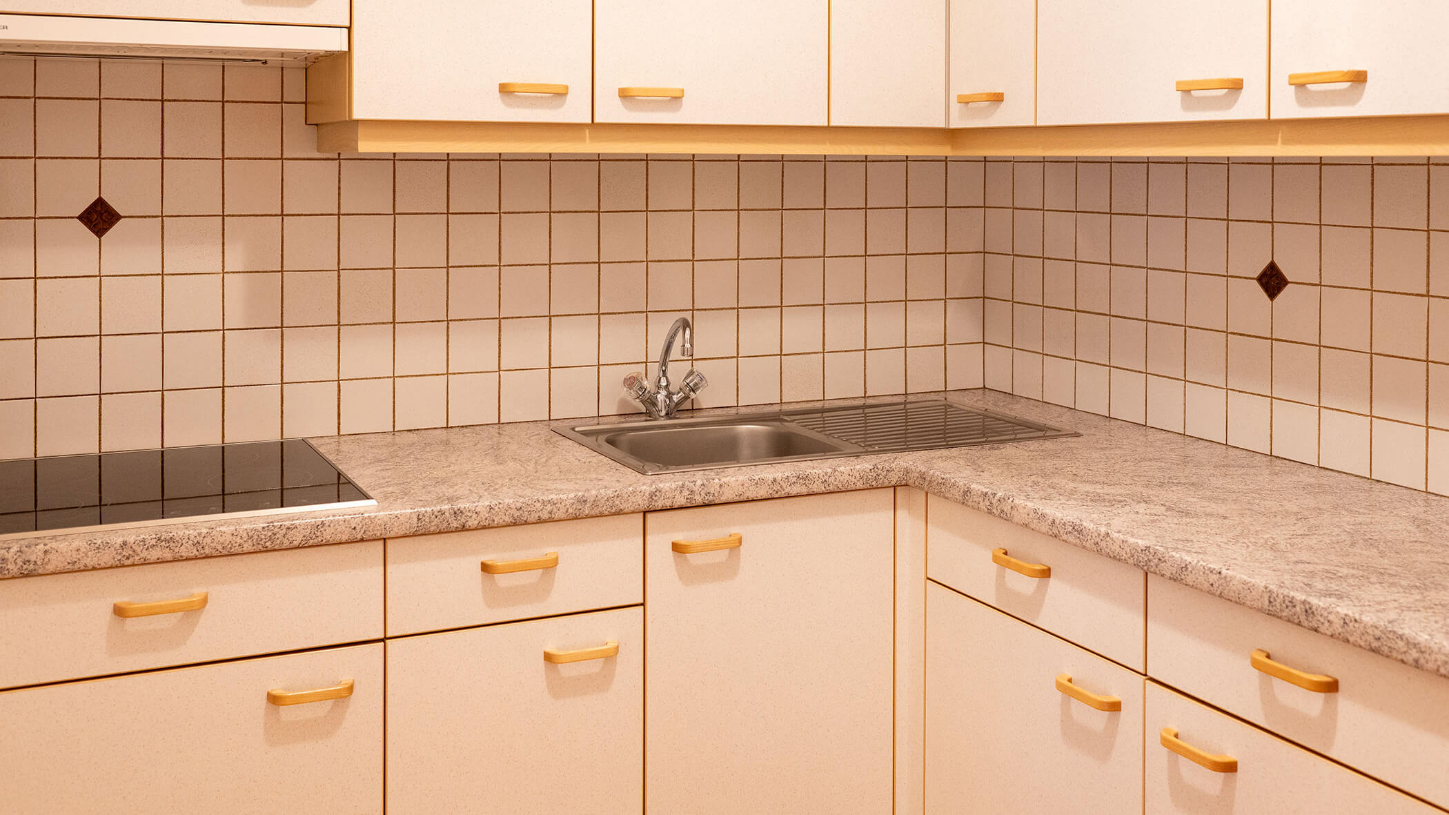 Küche mit Waschbecken, Schränken und Herdplatte in der Ferienwohnung Alpenrose - Villa Taschler