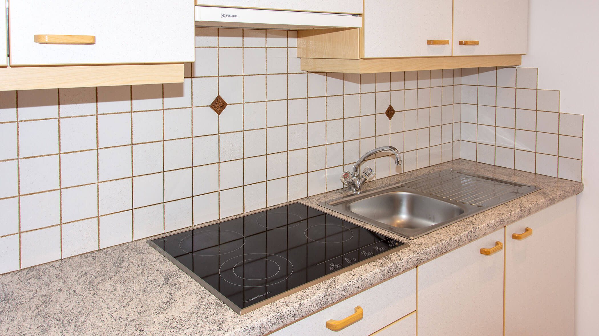 Küche mit Waschbecken und Herdplatte in der Ferienwohnung Edelweiss - Villa Taschler