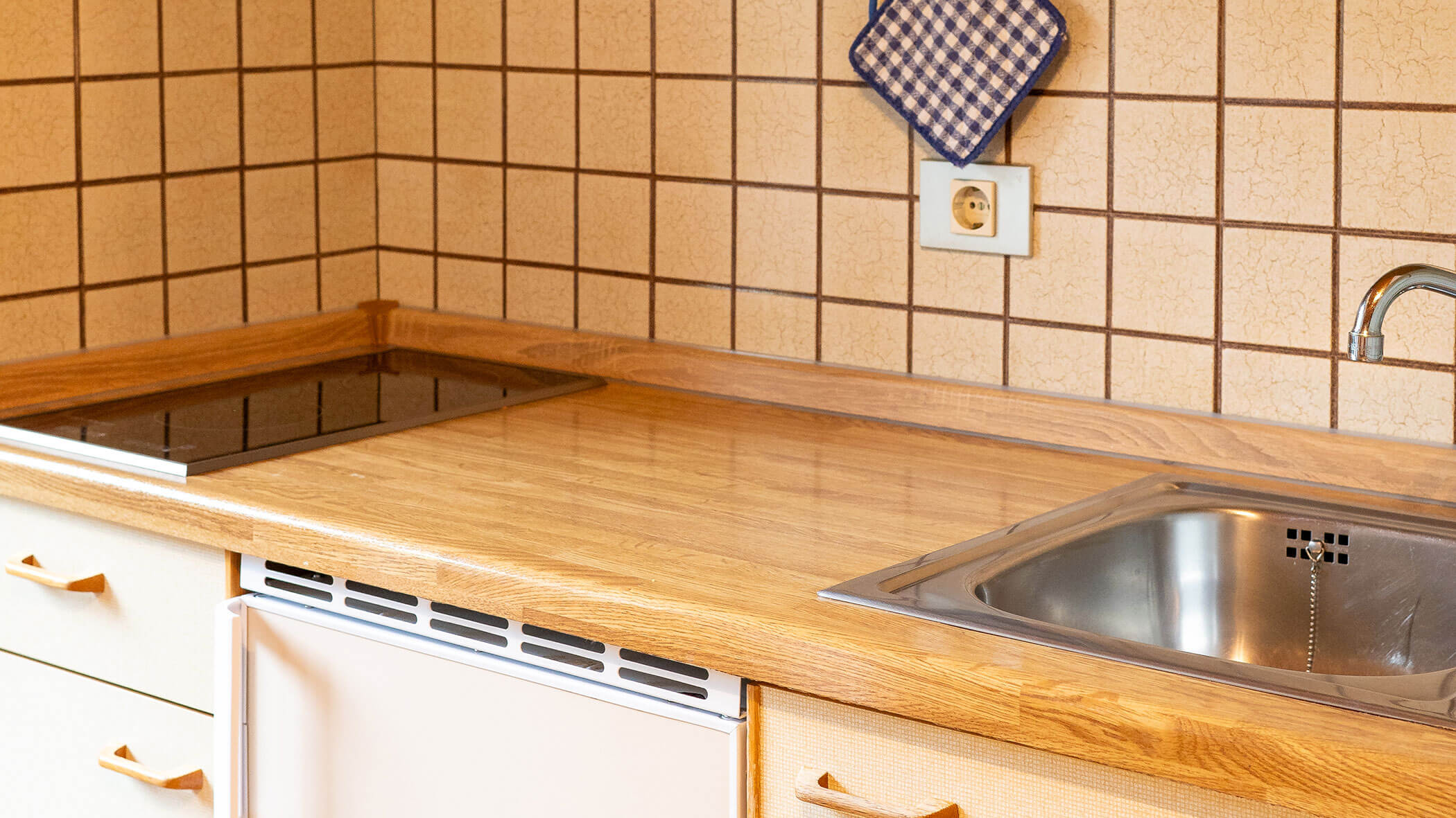 Waschbecken mit Herdplatte daneben in der Ferienwohnung Pfannhorn - Villa Taschler